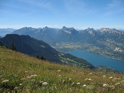 img_7125.jpg