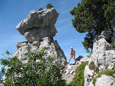 img_7130.jpg
