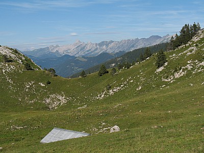 img_7166.jpg