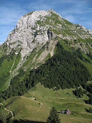 img_7169.jpg
