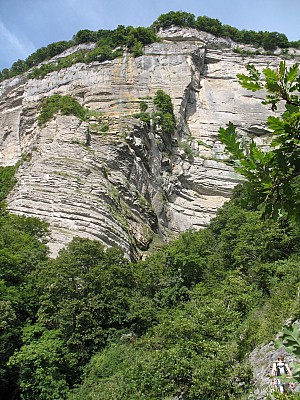 img_7181.jpg