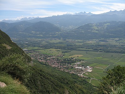 img_7183.jpg