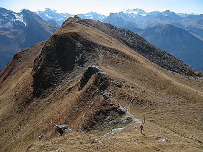 img_7717.jpg