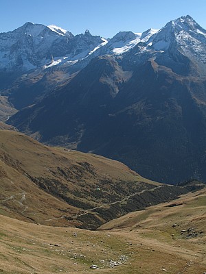 img_7732.jpg