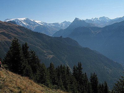 img_7744.jpg