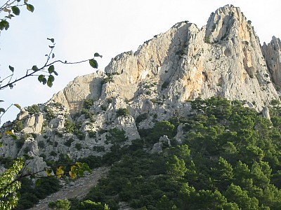 img_0924.jpg