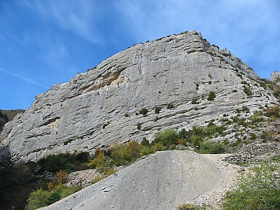 img_0927.jpg