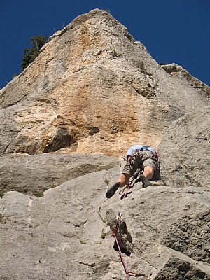 img_7896.jpg