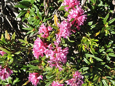 img_0821.jpg