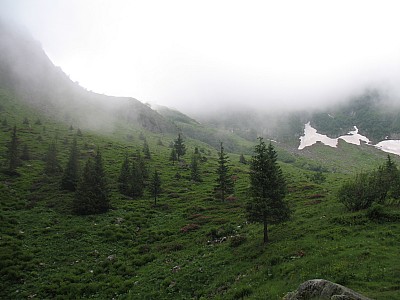 img_0828.jpg