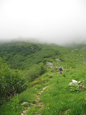 img_0848.jpg