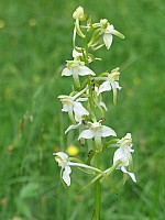 img_0869.jpg