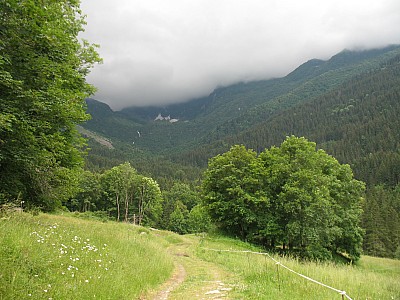 img_0877.jpg