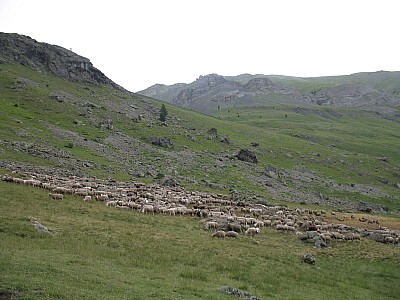 img_1001.jpg