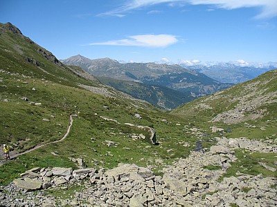 img_1316.jpg
