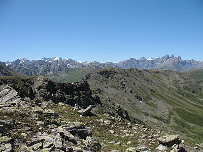 img_1320.jpg