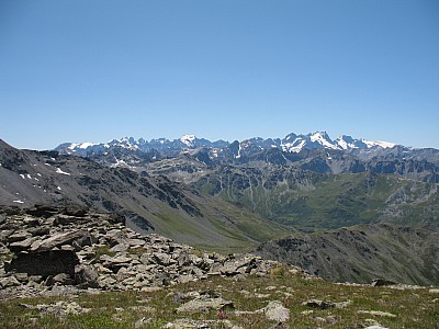img_1334.jpg