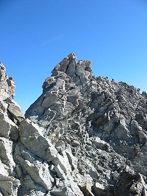 img_1538.jpg