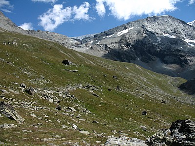 img_1691.jpg