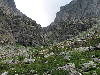 img_1774.jpg