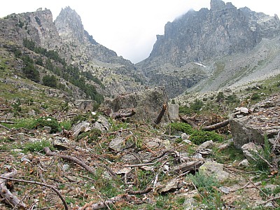 img_1777.jpg