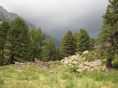img_1778.jpg