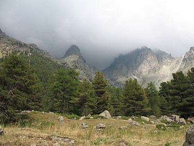 img_1779.jpg