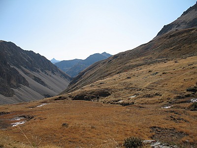 img_2460.jpg