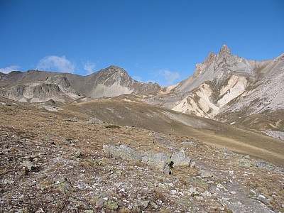 img_2461.jpg