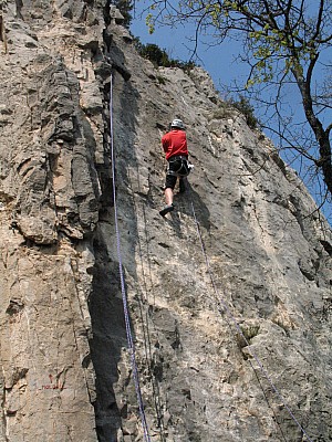 img_3785.jpg
