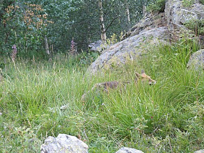 2010_08_oisans_010.jpg