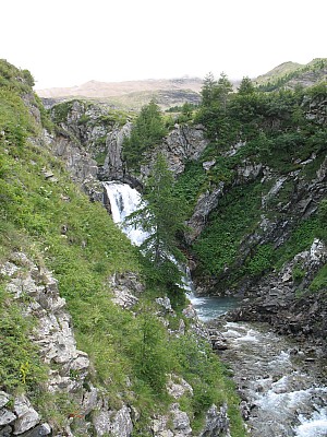 img_8740.jpg