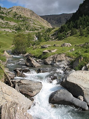 img_8762.jpg