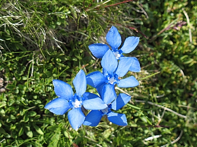 2012_07_09_113.jpg