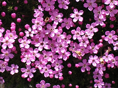 2012_07_09_115.jpg
