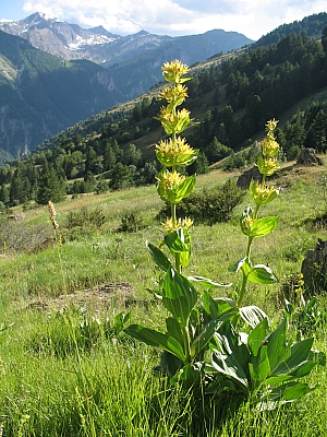 2012_07_09_140.jpg