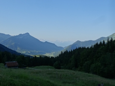 DSC03682.jpg