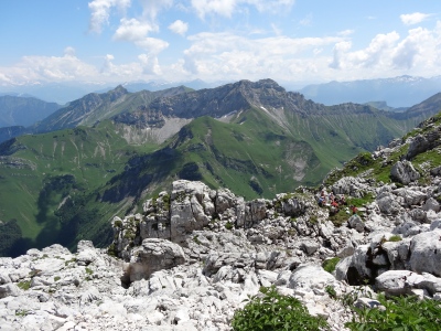 DSC03733.jpg