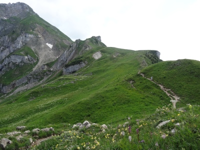 DSC03734.jpg