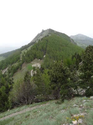 DSC07271.JPG