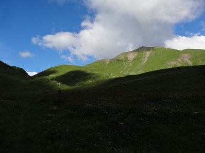 DSC07568.JPG