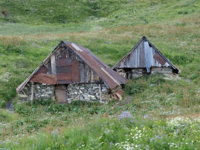 DSC07570.JPG