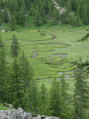 DSC08592.JPG