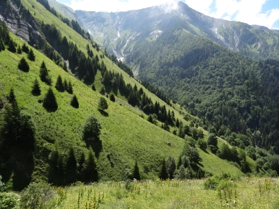DSC08743.JPG