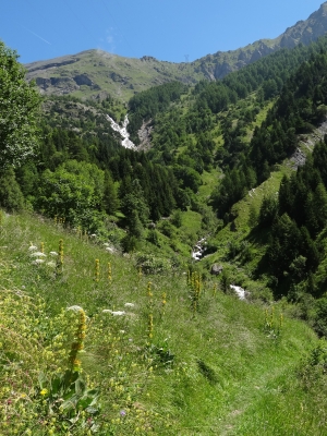 DSC08745.JPG