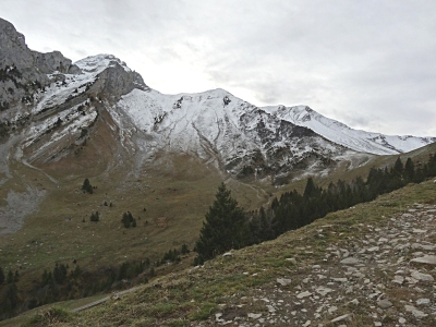 DSC00103_v2.jpg