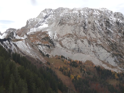 DSC00106_v2.jpg