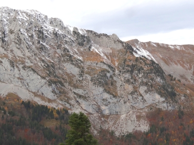 DSC00107_v2.jpg