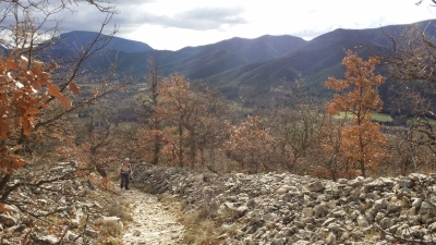 20150104_120323.jpg