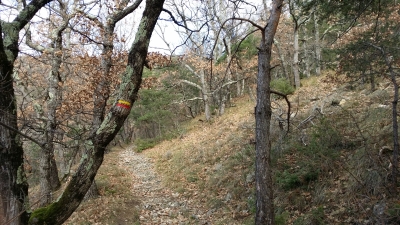 20150104_121003.jpg